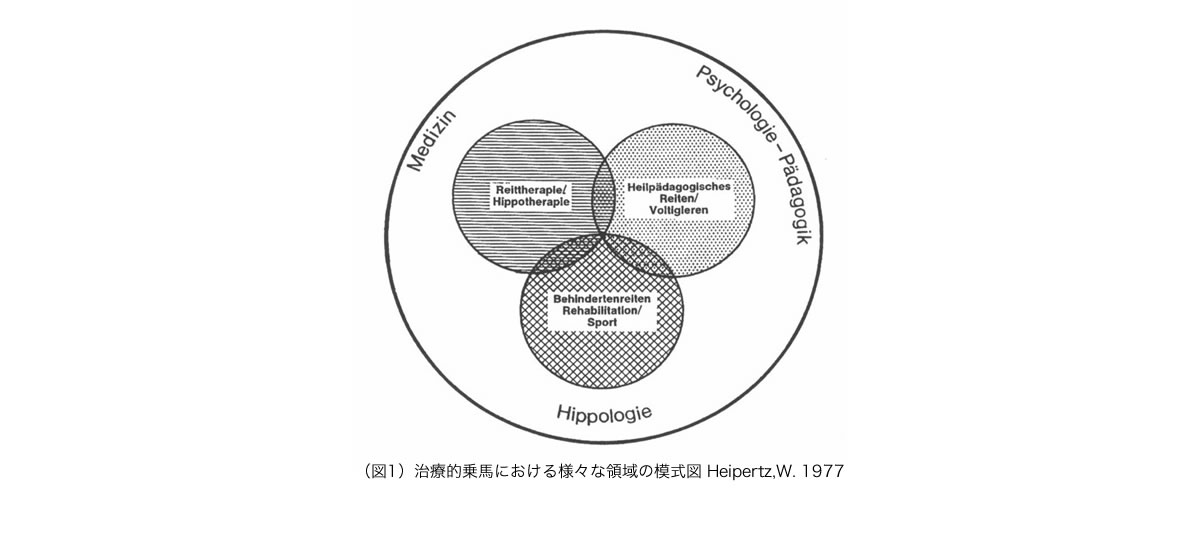 治療的乗馬における様々な領域の模式図 Heipertz,W. 1977